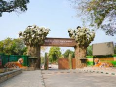 वन अकादमीतर्फे प्रशिक्षण कार्यक्रमांचे डिजिटायझेशन