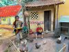 माफसू संग्रहालय : ज्ञानाला स्पर्श देणारे जिवंत विद्यापीठ