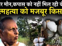 कपास किसानों की बर्बादी : किसकी उंगलियां घी में?