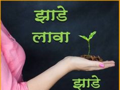 रोपटं लावा, सेल्फी काढा, बक्षीस जिंका!- शिक्षक ध्येय, मातृसेवा फाउंडेशनतर्फे आयोजन