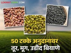 50 टक्के अनुदानावर तूर बियाणे घटकाचा लाभ मिळण्यासाठी अर्ज करा