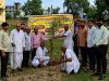 अग्निपंख बहुउद्देशीय संस्था,राजुरा तर्फे वृक्षारोपण कार्यक्रम संपन्न